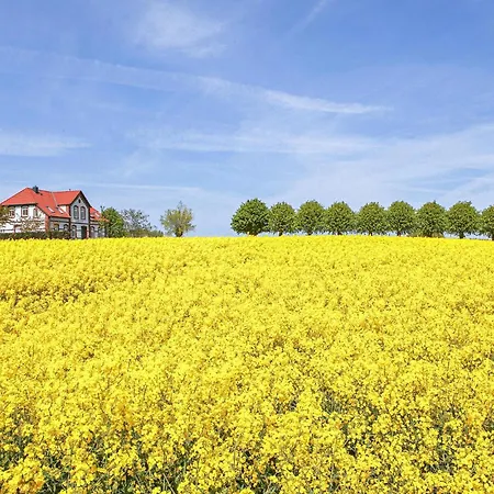 Apartment Pet Friendly Gollwitz